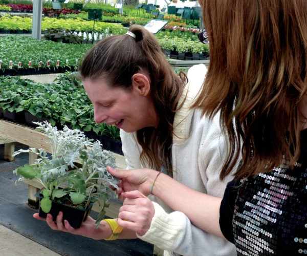 participant looks at plants