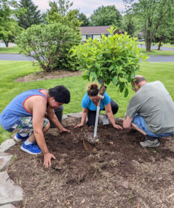 UCP Staff and Adam Plant the Tree